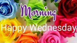 Good morning Wednesday images, best good morning images, whatsapp images and beautiful flowers image
