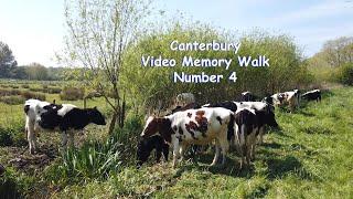 CANTERBURY MEMORY WALK   LONDON ROAD   DUKES MEADOW   HARBLEDOWN AND WHITEHALL