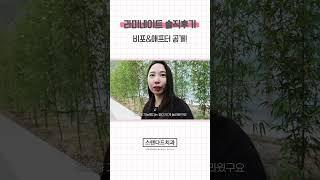 스탠다드 라미네이트 후기 대만족10000%