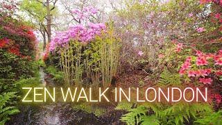  Isabella Plantation│Richmond Park│London - 4K