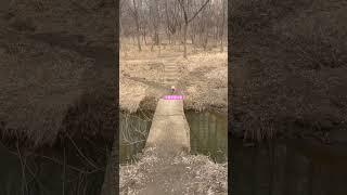 내사랑 석구오빠#구름이네#나율이네#구름위를나율#강아지산책#트레이너#강제운동