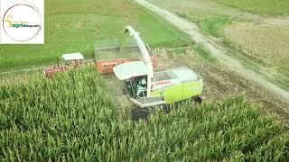 CLAAS JAGUAR 850 for sale | Agrithing