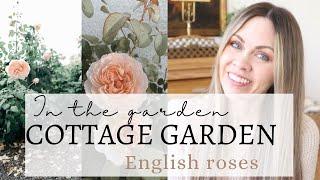 How to PRUNE English Rose | COTTAGE Garden Tour | English ROSE Garden