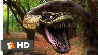 Anacondas: Trail of Blood (2009) - Jeep vs. Anaconda Scene (3/10) | Movieclips