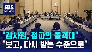 "감사원, 정파의 돌격대"…"보고, 다시 받는 수준으로" / SBS