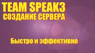 Как создать свой сервер TeamSpeak3?  Подключение хостинга и подключение админ прав.