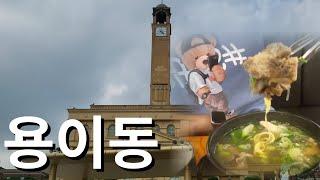 Z세대 대학생과 다녀온 용1동 아니고 용이동