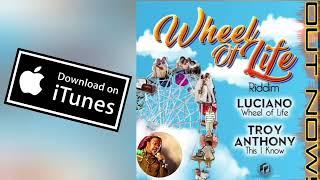 WHEEL OF LIFE LUCIANO NEW MUSIC WHEEL OF LIFE RIDDIM. 2023