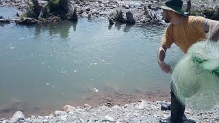 ماهیگیری با تور سالیک Fishing with salic net تور پرتابی ماهیگیری The beamed tour