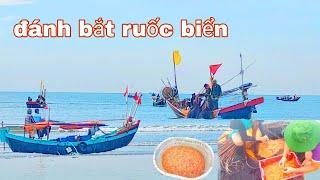 ruốc biển vào mùa ngư dân trúng đậm mùa vụ - dân biển quê tôi