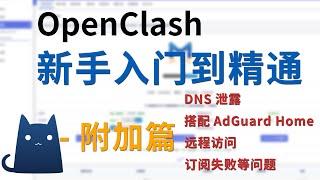 openclash新手教程系列附加篇、DNS泄露、openclash搭配Adguardhome、openclash远程访问、订阅失败、BT直连等问题解决