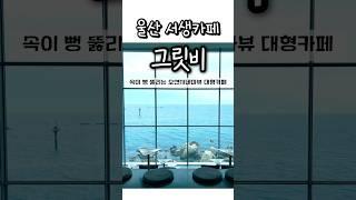 울산서생 대형카페 그릿비 #울산 #울산카페 #대형카페 #뷰맛집 #그릿비 #오션뷰카페 #울산여행 #카페 #cafe