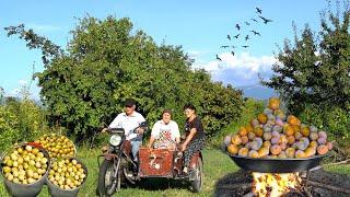 FRUIT HARVESTING in the Forest | Plum Cake and Juice Recipe by Sweet Grandma