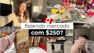 MERCADO no inverno, nossa estratégia para economizar e fazer compras no frio! $250 mercado no Canadá