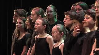 "La tristitude" - Oldelaf par la chorale REVERDY (Sablé-sur-Sarthe - Marc Leroy)