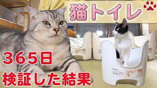 ストレスが減る？猫と飼主がお得になる猫トイレ「ラプレ 壁高ネコトイレ ホワイト」を買ってみた 【瀬戸の猫部屋日記】