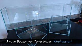 Neue Aquarien von Terra-Natur #aquaristik