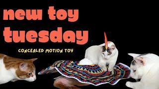 NEW TOY TUESDAY • Potaroma 3-in1 Hide and Seek Cat Toy • UNBOXING & REVIEW