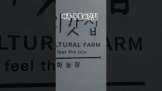 제주여행. 무릉외갓집 #토르기사