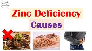 Causes of Zinc Deficiency | Dietary Choices (ex. Seeds and Nuts), Gastrointestinal, and Other