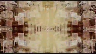 DMT trip (mix of Blueberry and Animatrix scenes)