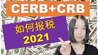 2021加拿大报税更新 (CERB 和 CRB 如何报税）|哪里可以拿到CERB和CRB的报税文件 | 如何使用报税软件为CERB 和 CRB 报税 |婷婷谈钱 I'm Tingting