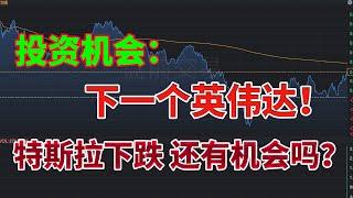 投资机会：下一个英伟达！下一个英伟达是谁？特斯拉下跌，还有机会吗？英伟达反弹，能追涨吗？#nvda #特斯拉 #tsla