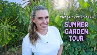 Evening Tour of My Permaculture Backyard Food Forest in Perth, Western Australia