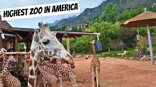 Cheyenne Mountain Zoo