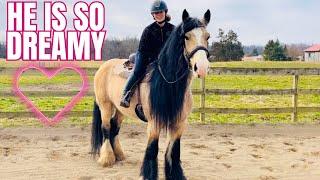 My Horse’s Crazy Mane Care Routine, Plus Riding! He is So Whimsical