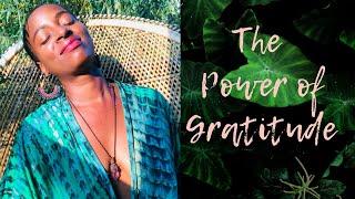 The Power of Gratitude || Rooted Thoughts  ||  SelfHealer Iam