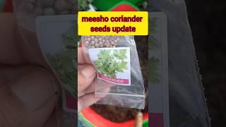 Meesho  coriander seeds update 