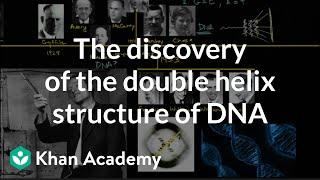 The discovery of the double helix structure of DNA