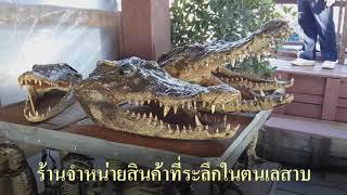 ตนเลสาบ ទន្លេសាប Tonle Sap.