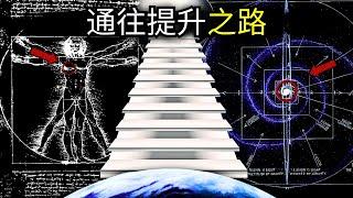 你從來不是人類：通往純意識的12個階段（無廢話）