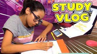 MEU CELULAR ATRAPALHOU MEUS ESTUDOS - STUDY VLOG | COISAS DA LUNA