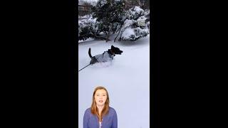 The Science Behind Lake-Effect Snow