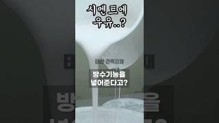 시멘트에 우유...?!#friendships   #pascalletoublon  #몰탈 #탄탄방수 #시공