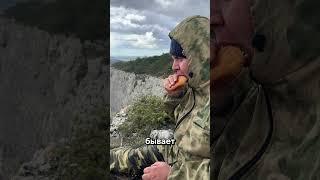 В Крыму настала весна — по крайней мере, так говорит календарь.#shorts #крым