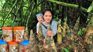 Bamboo Shoot Harvesting: Processing, Preserving to Make Chili Bamboo Shoots & Sour Bamboo Shoots