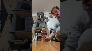 natty November day 20
