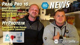 MZ News - ESN | Adolf Burhardt disqualifiziert | MyProtein BCAA fällt durch