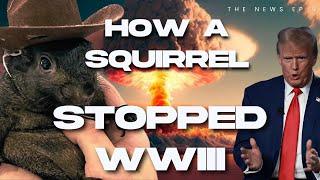 HOW A SQUIRREL STOPPED WWIII | The NEWS Ep. 9