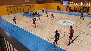 WIENER FLOORBALL VEREIN vs FBC BOROVNICA GOALS