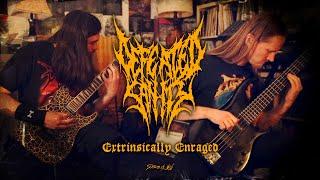 Defeated Sanity - "Extrinsically Enraged" (Official Guitar Playthrough)