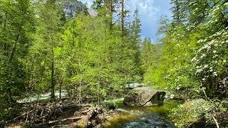 S3E120: Yosemite Creek - Nature Sounds for Meditation, Relaxation, and Sleep 優勝美地溪流