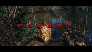 Ibadet Ramadani - Forest (Official Video)