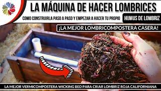 La MÁQUINA de hacer LOMBRICES y HUMUS de LOMBRIZ | LombriCompostera - VermiCompostera  Wicking Bed