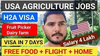 Farm Jobs USA   | Agricultur work visa H2A | visa in 7 days | No Age Limit