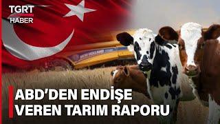 ABD Tarım Bakanlığı, Türkiye Hayvancılığını Mercek Altına Aldı - TGRT Haber